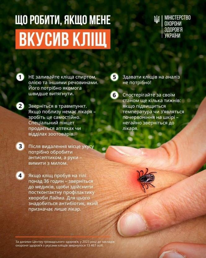 Новини Вінниці - фото з Почастішали випадки укусів кліщів. Як уберегтися?
