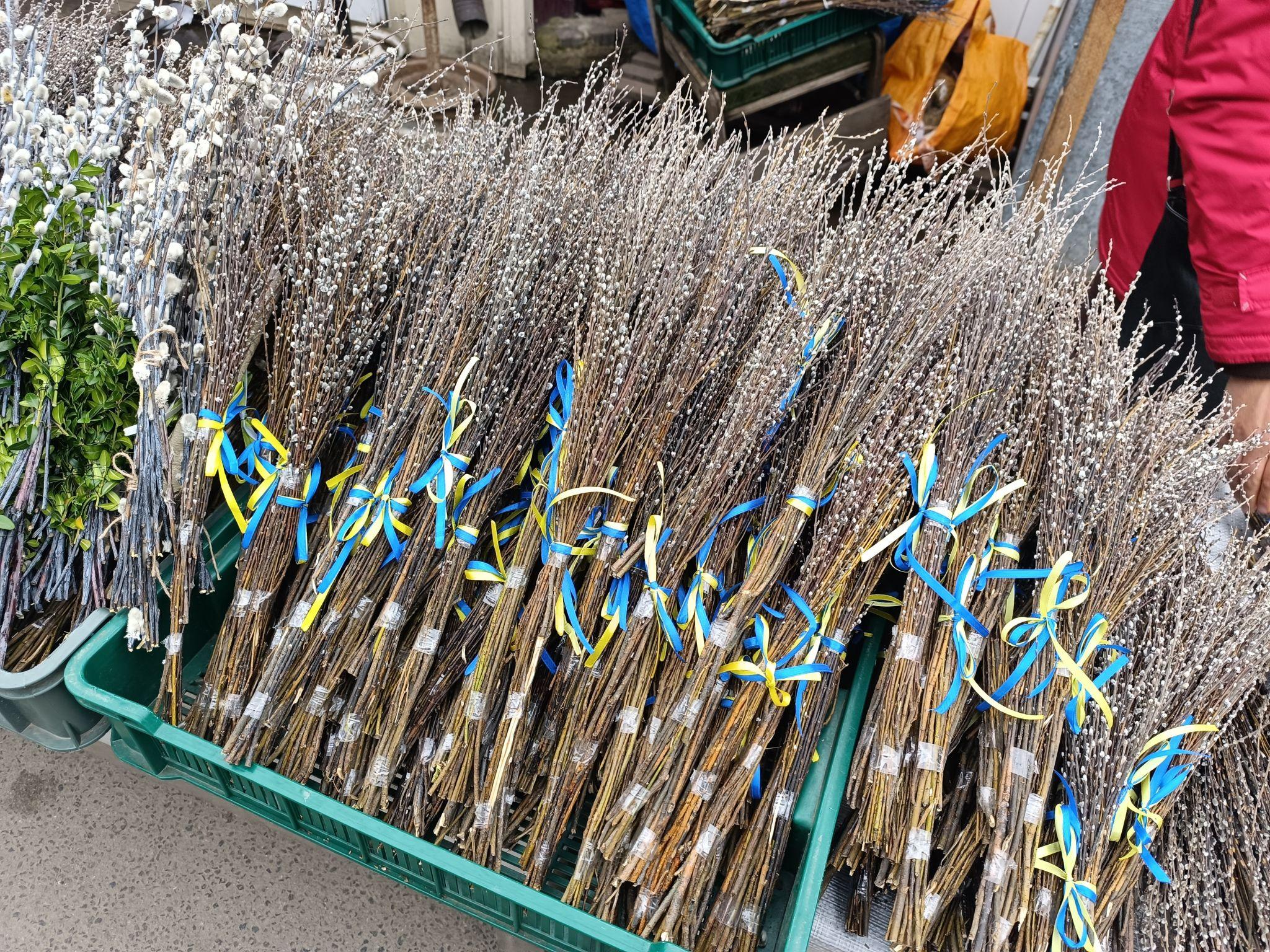 Новини Тернополя - фото з З квітами, прикрасами та стрічками: скільки коштують вербові букети на ринках Тернополя