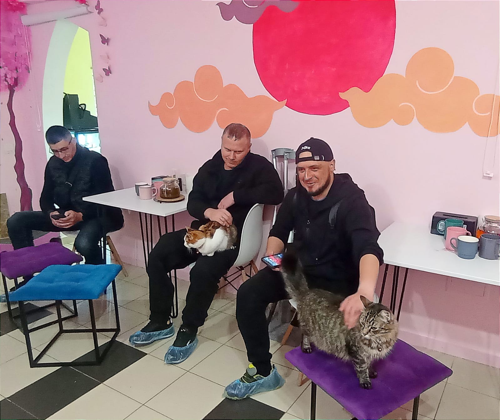 Новини Вінниці - фото з Відпочинок та розвантаження: ветеранам та їх родинам влаштували екскурсію до зоопарку та кото-кафе