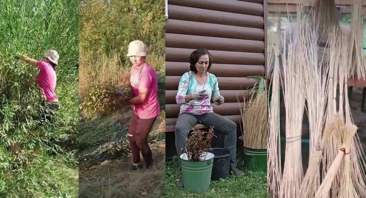 Новини Тернополя - фото з Майстриня з Чорткова плете шедеври з лози для всього світу