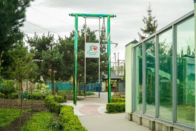Новини Вінниці - фото з З’явився білий бенгальський тигр. Чим ще здивує Подільский зоопарк у новому сезоні?