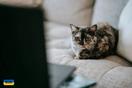 Новини Вінниці - фото з Як знайти роботу в Польщі: поради для українців (Новини компаній)