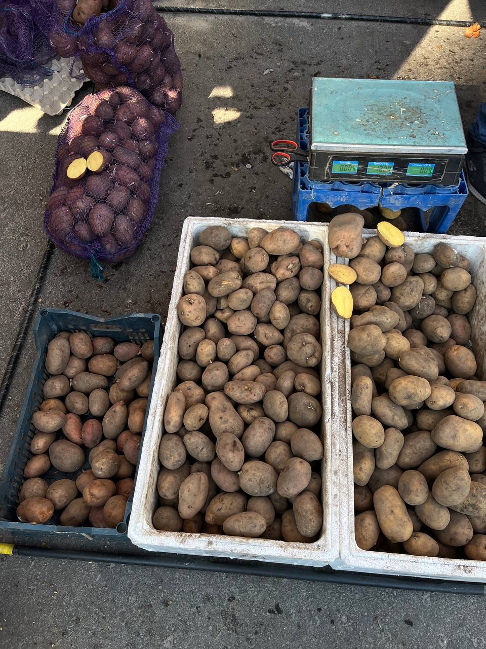 Новини Тернополя - фото з Великодні ярмарки в Тернополі: що та за скільки продають. Перевірили журналісти «20 хвилин»