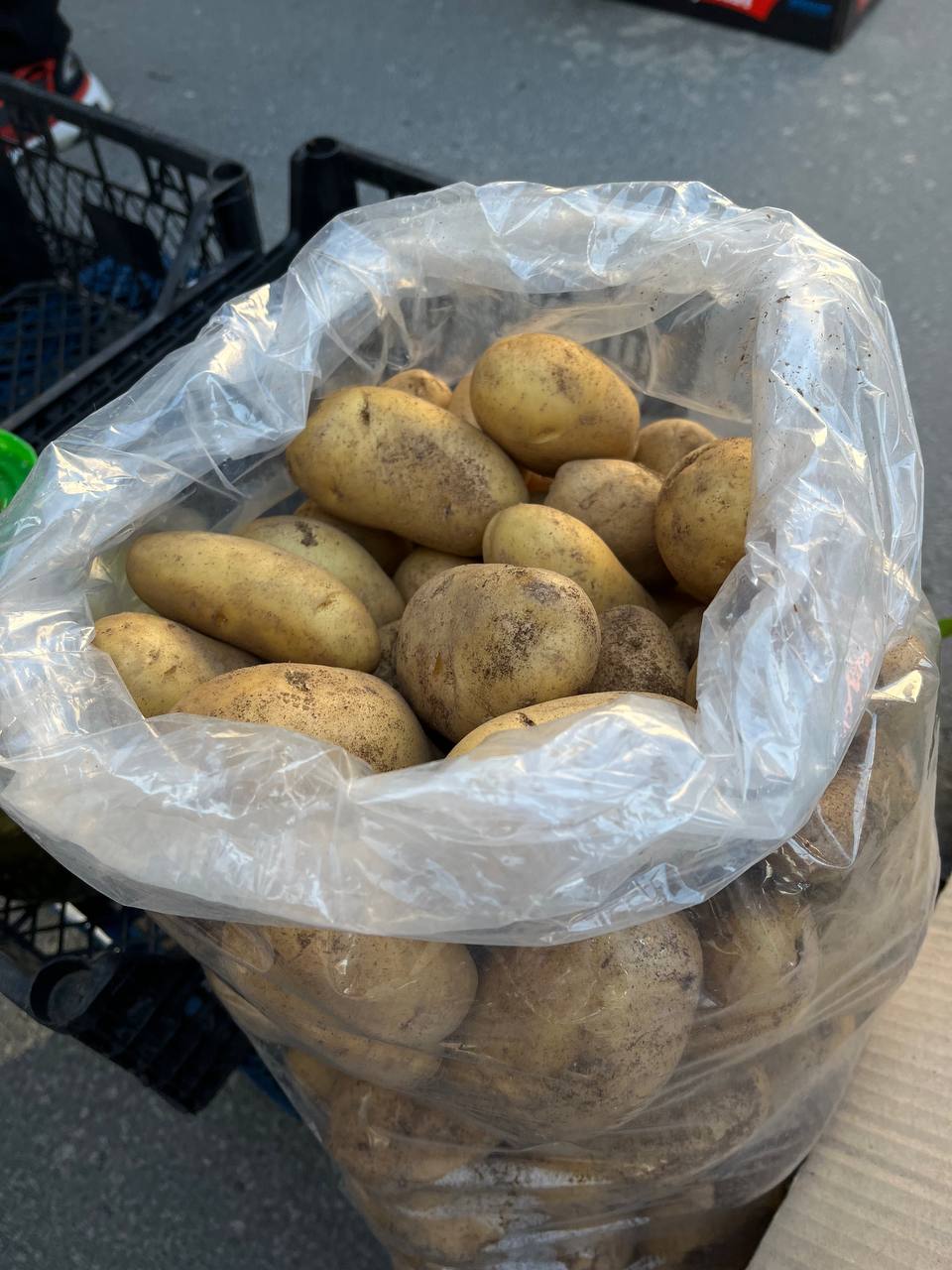 Новини Тернополя - фото з Великодні ярмарки в Тернополі: що та за скільки продають. Перевірили журналісти «20 хвилин»