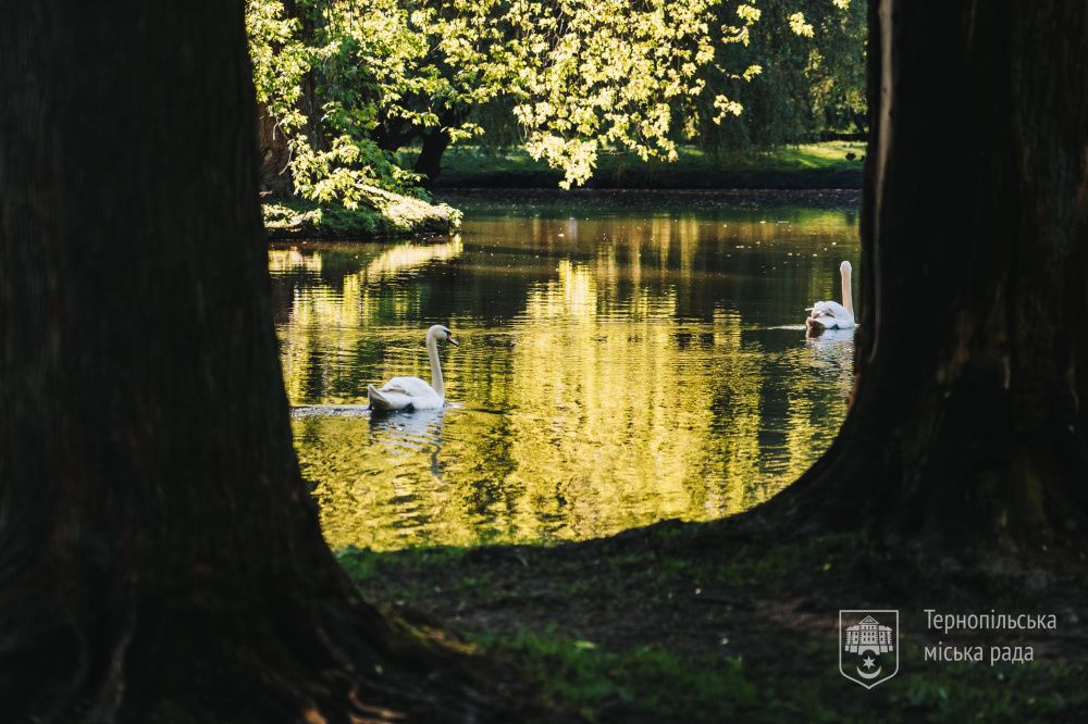 Новини Тернополя - фото з У тернопільському гідропарку «Сопільче» відкрився зоокуток