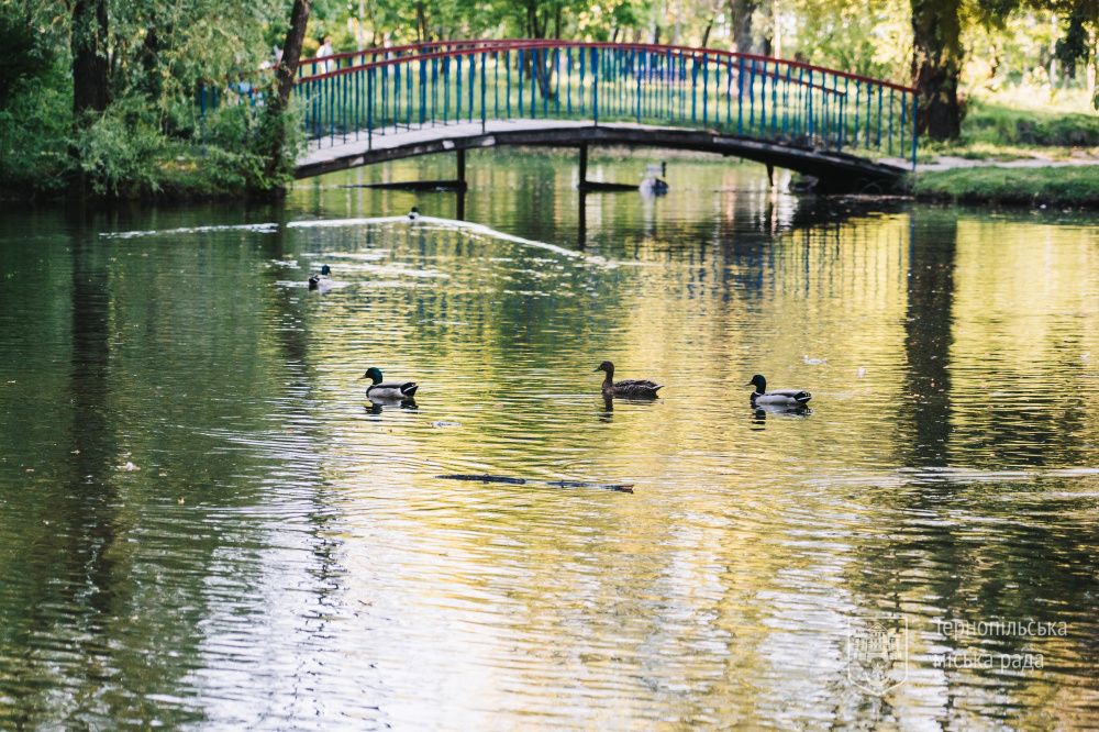 Новини Тернополя - фото з У тернопільському гідропарку «Сопільче» відкрився зоокуток