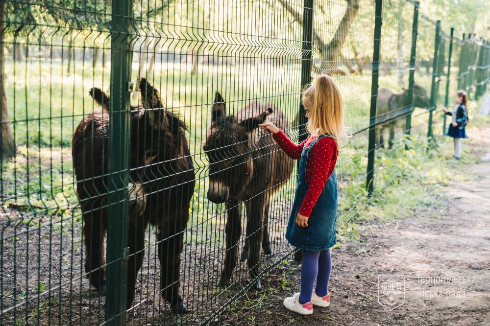 Новини Тернополя - фото з У тернопільському гідропарку «Сопільче» відкрився зоокуток