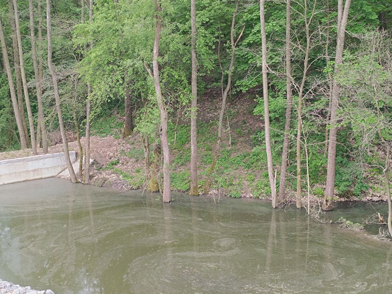 Новини Вінниці - фото з Робили все без дозволів: через будівництво у селі Прибузьке затоплює ліс