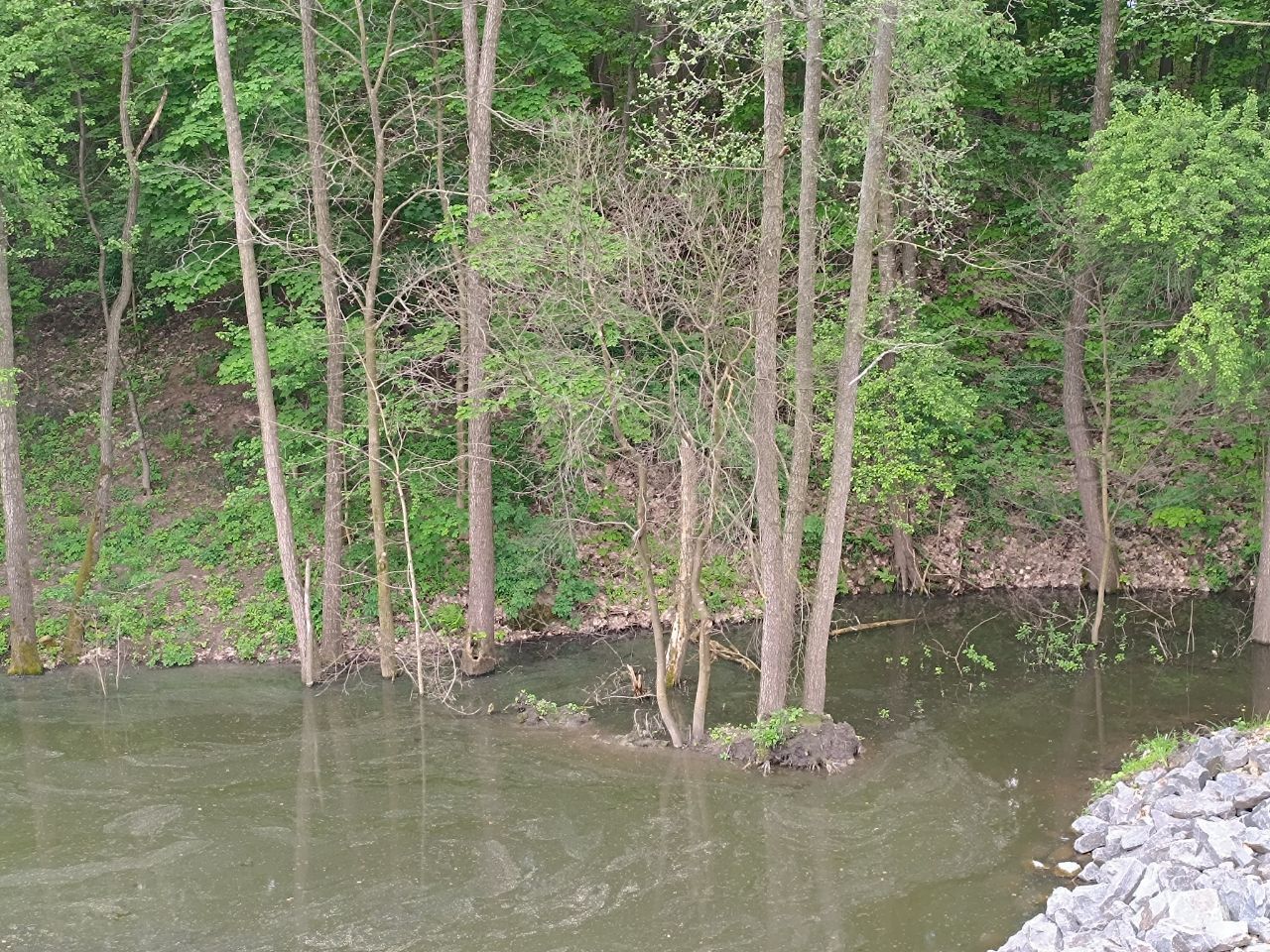 Новини Вінниці - фото з Робили все без дозволів: через будівництво у селі Прибузьке затоплює ліс