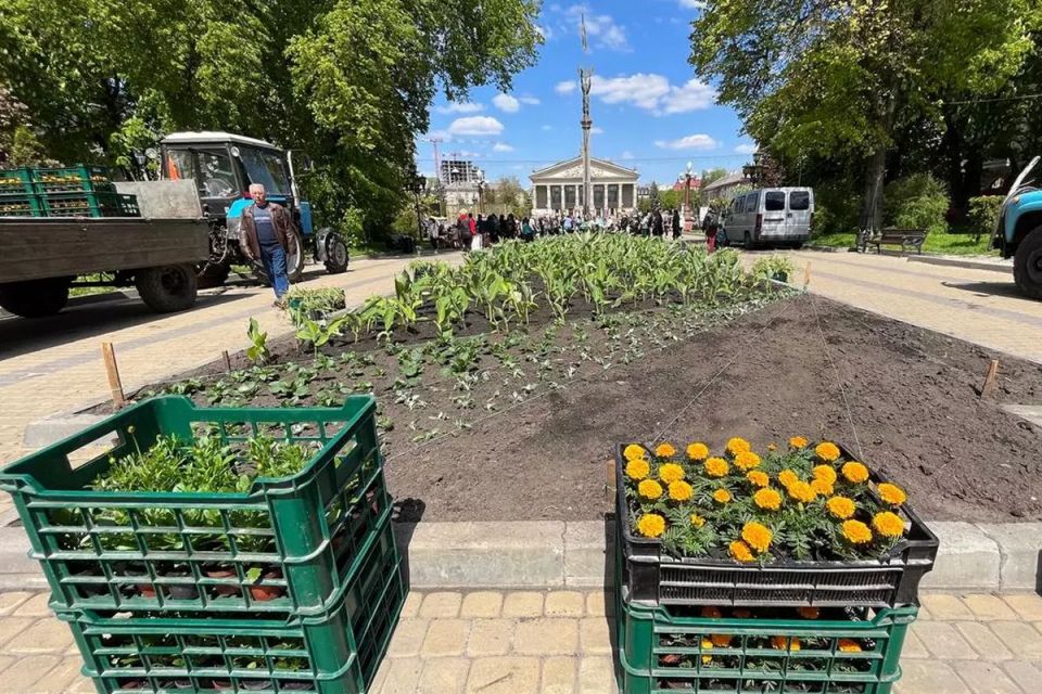 Новини Тернополя - фото з На бульварі Шевченка матері загиблих воїнів висадять квіти у пам’ять про полеглих синів Понад 10 мільйонів хочуть витратити на догляд за рослинами у Тернополі