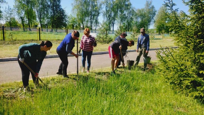 Новини Вінниці - фото з У 23-х громадах Вінниччини посадять трояндові Алеї Слави