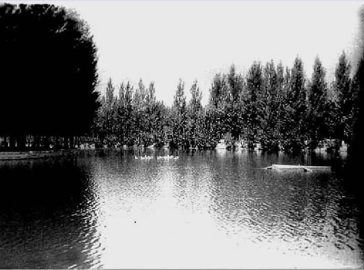 Немає опису світлини.