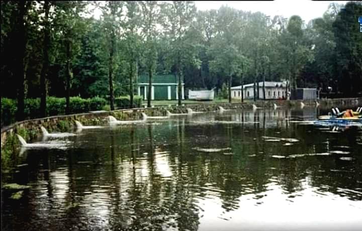 На зображенні може бути: лебідь та озеро