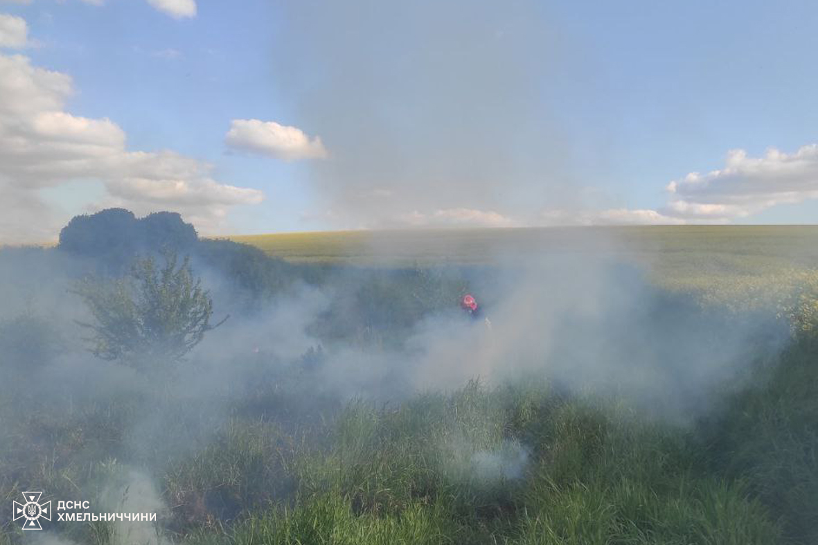 Возможно, это изображение трава