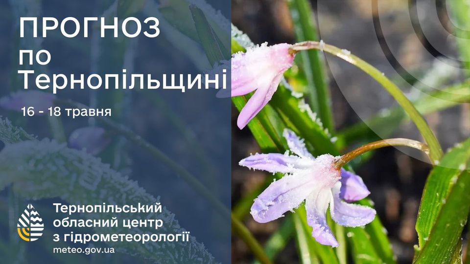 Новини Тернополя - фото з На Тернопільщині будуть заморозки на ґрунті На зображенні може бути: Левізія та текст «ПРОГНОЗ по Терноп.льщин. 16 - 16-18 18 травня Терноп.льський обласний центр 3 гдрометеоролог meteo.gov.ua»