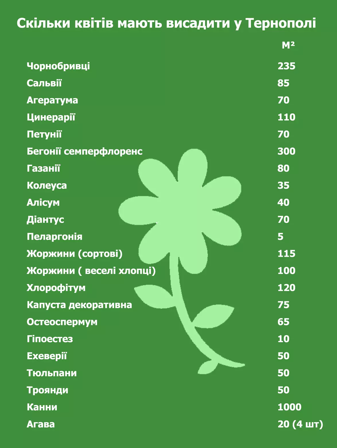Новини Тернополя - фото з У центрі Тернополя висаджують квіти: дивіться, який вигляд мають клумби!