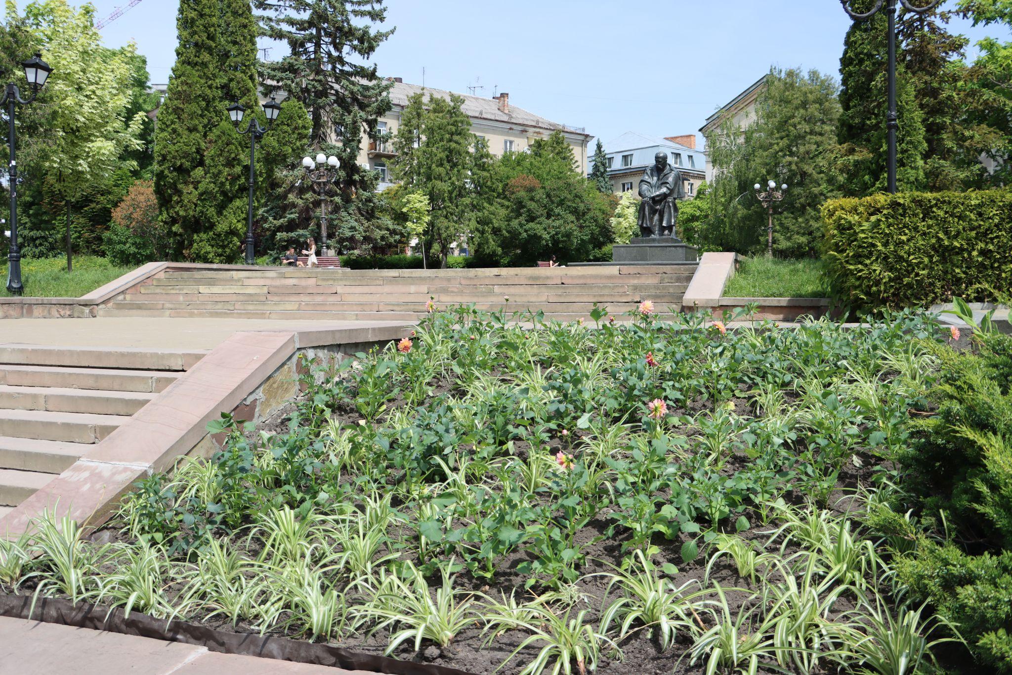 Новини Тернополя - фото з У центрі Тернополя висаджують квіти: дивіться, який вигляд мають клумби!