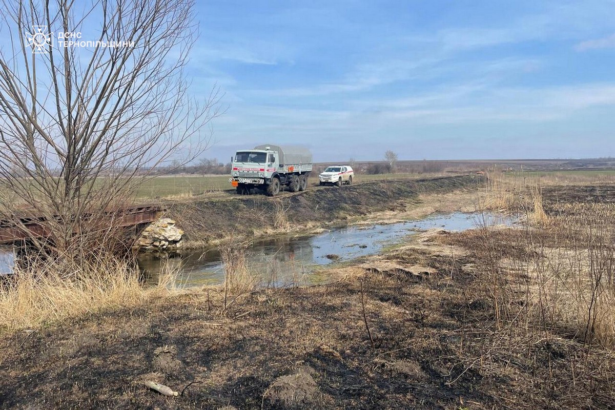 На зображенні може бути: джип та трава