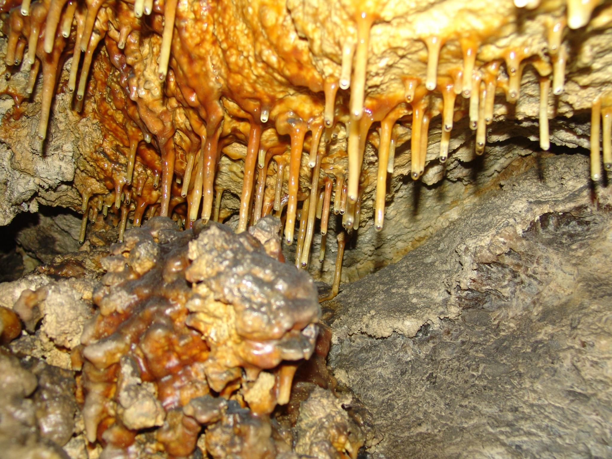 Новини Тернополя - фото з Як виглядає 9-кілометрова печера Вертеба, яка знаходиться за 30 км від Чорткова