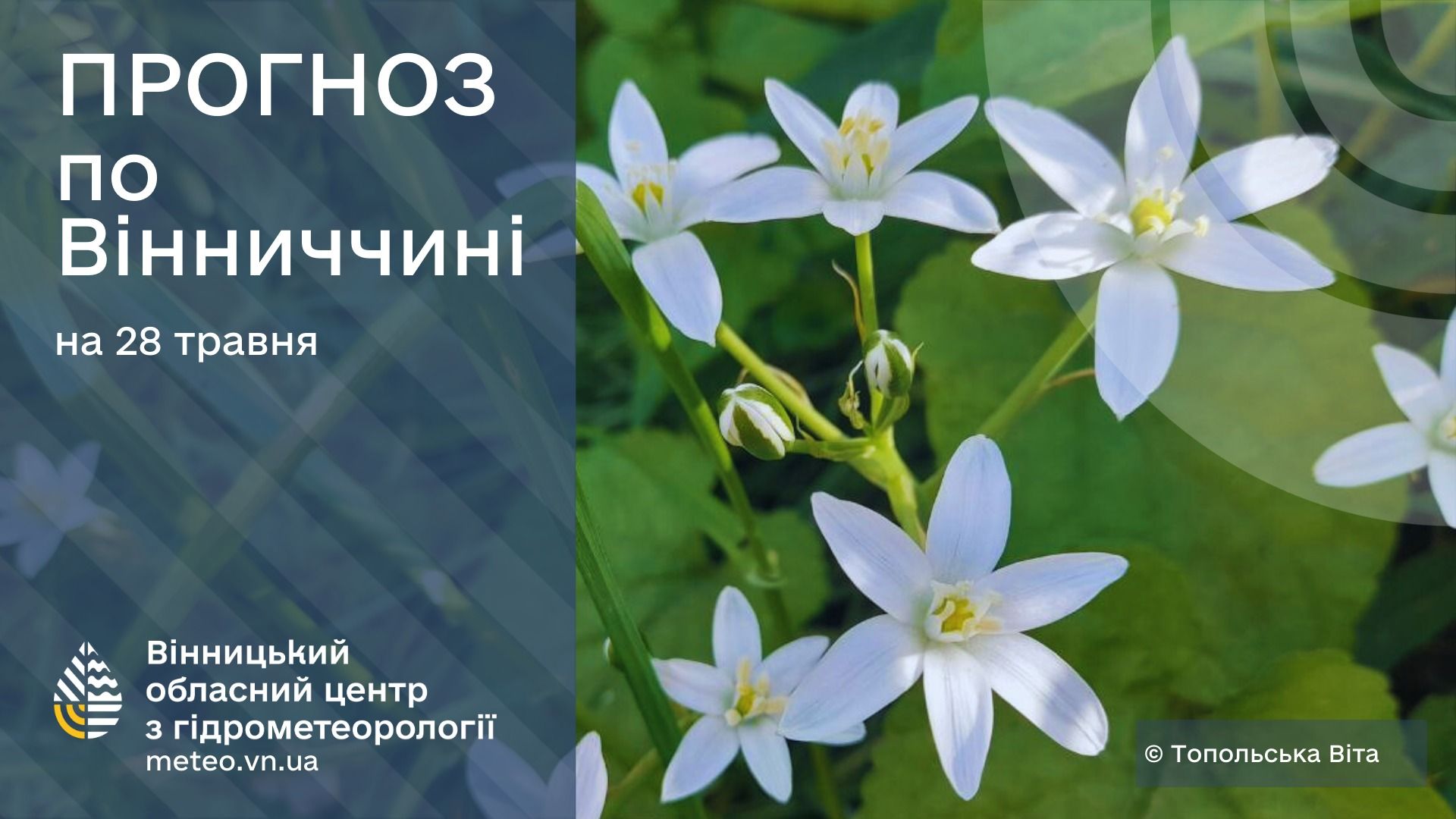 Новини Козятина - фото з Антициклон, локальні грози та пил з Каспію: синоптики знову попереджають про «брудні дощі»