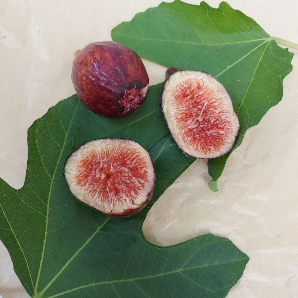 Немає опису світлини.