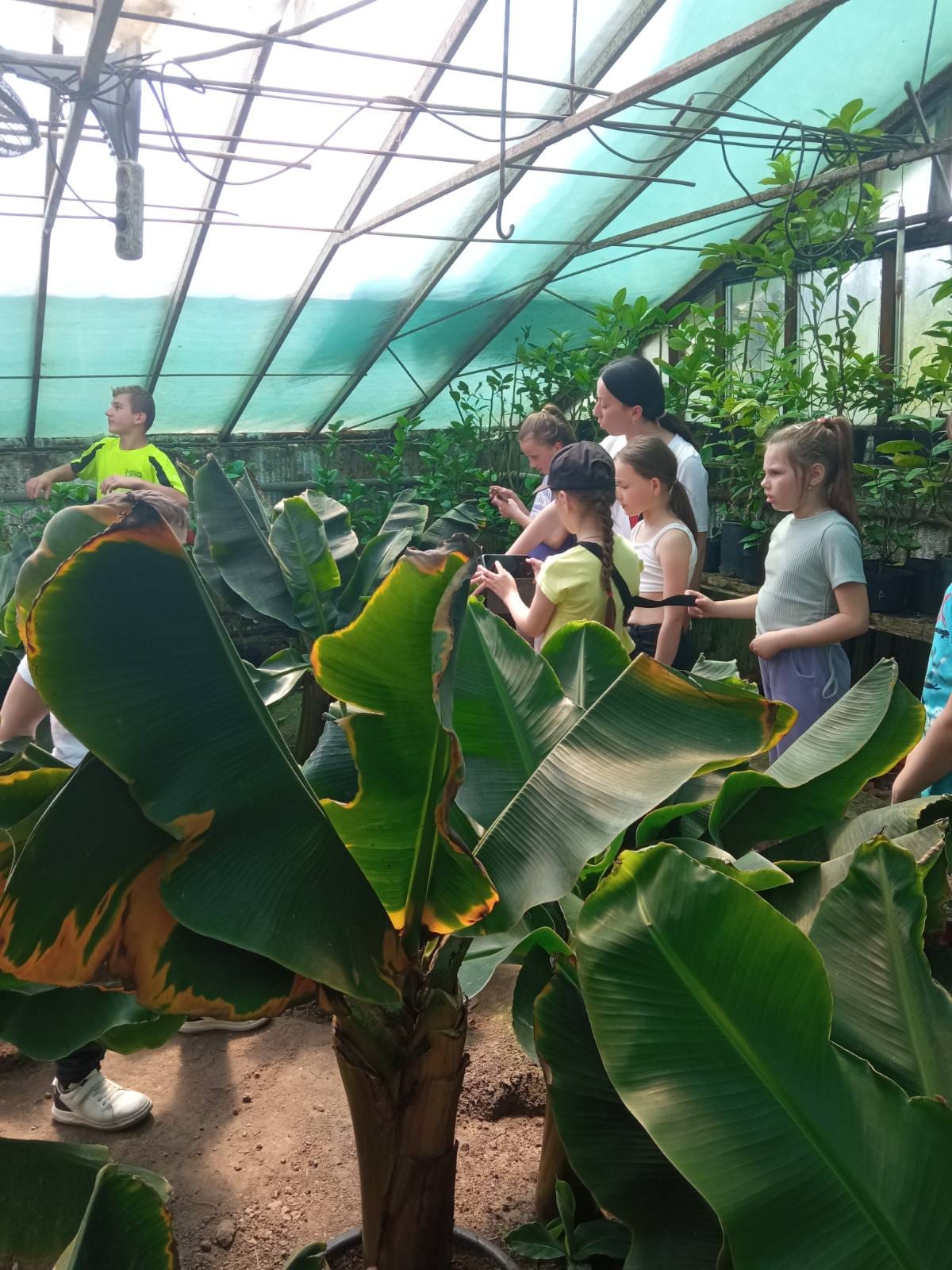 Немає опису світлини.