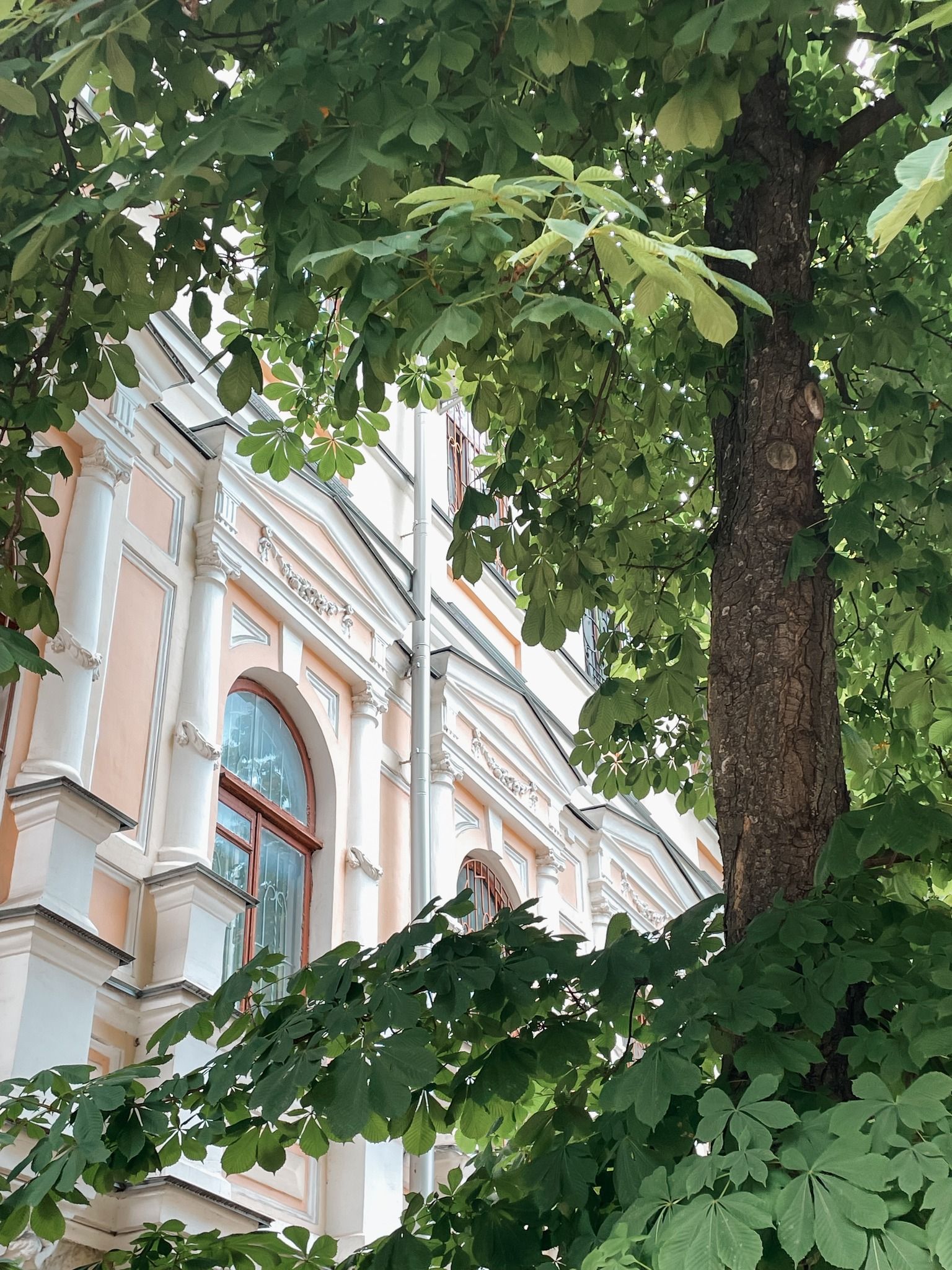 Новини Вінниці - фото з Архітектурна окраса вулиці Грушевського. Розповідаємо історію будівлі міського суду