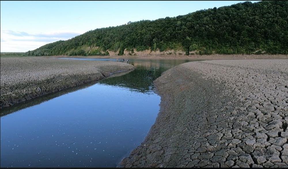 Новини Тернополя - фото з Дністер обмілів, криниці висохли, риба і все річкове гине. А що робить влада?