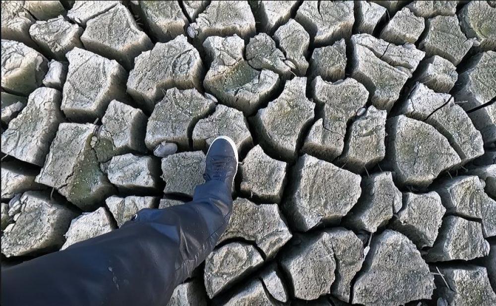 Новини Тернополя - фото з Дністер обмілів, криниці висохли, риба і все річкове гине. А що робить влада?