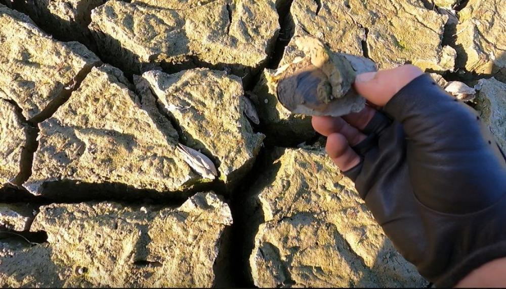 Новини Тернополя - фото з Дністер обмілів, криниці висохли, риба і все річкове гине. А що робить влада?