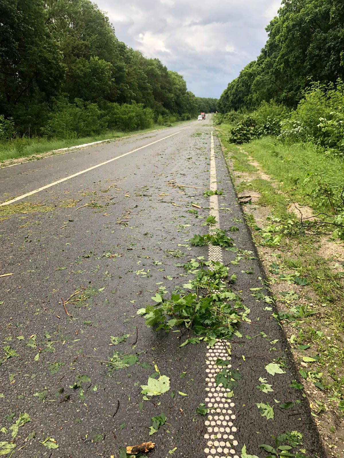 Новини Тернополя - фото з На Тернопільщині ліквідовували наслідки негоди На зображенні може бути: дорога та трава