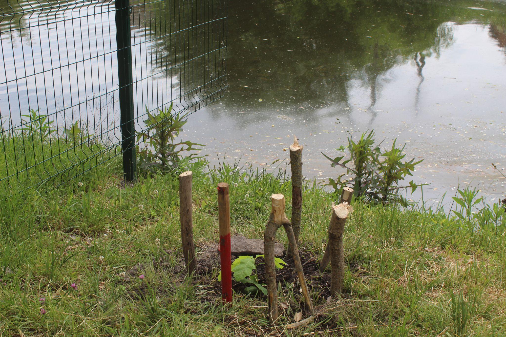 Новини Козятина - фото з Де в Козятині можна відпочити