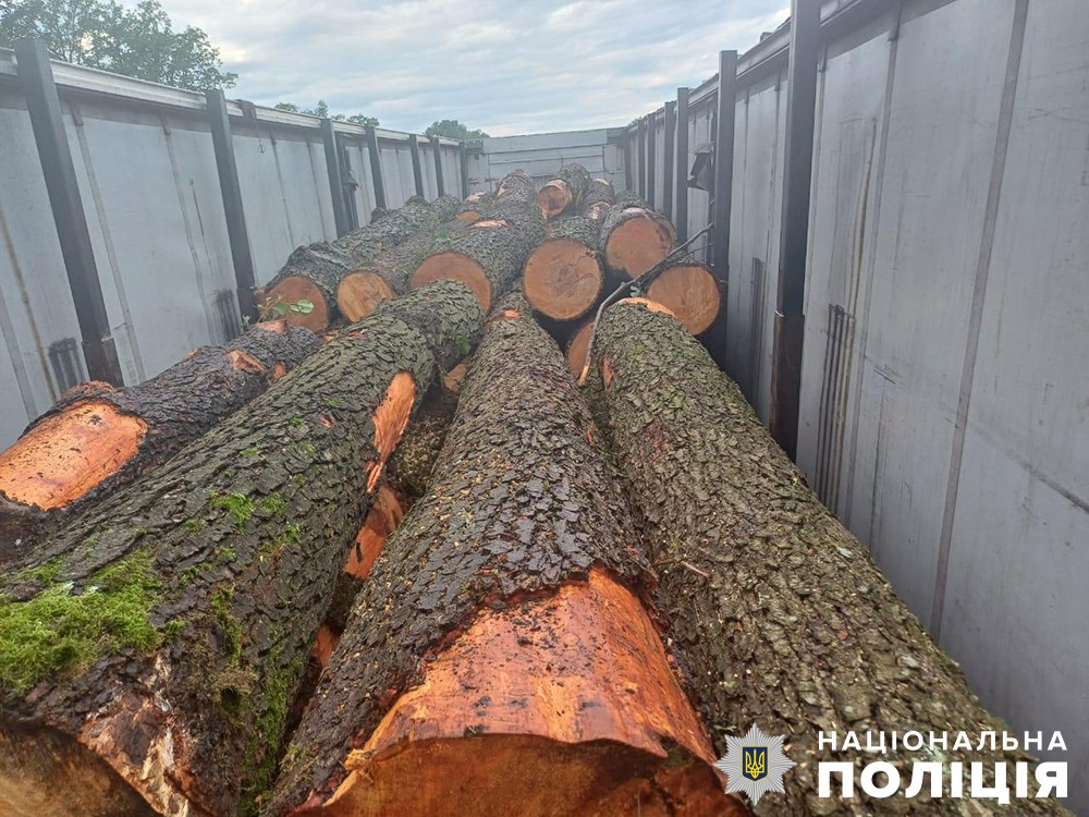 у курненській громаді поліцейські затримали автомобіль з нелегальним лісом
