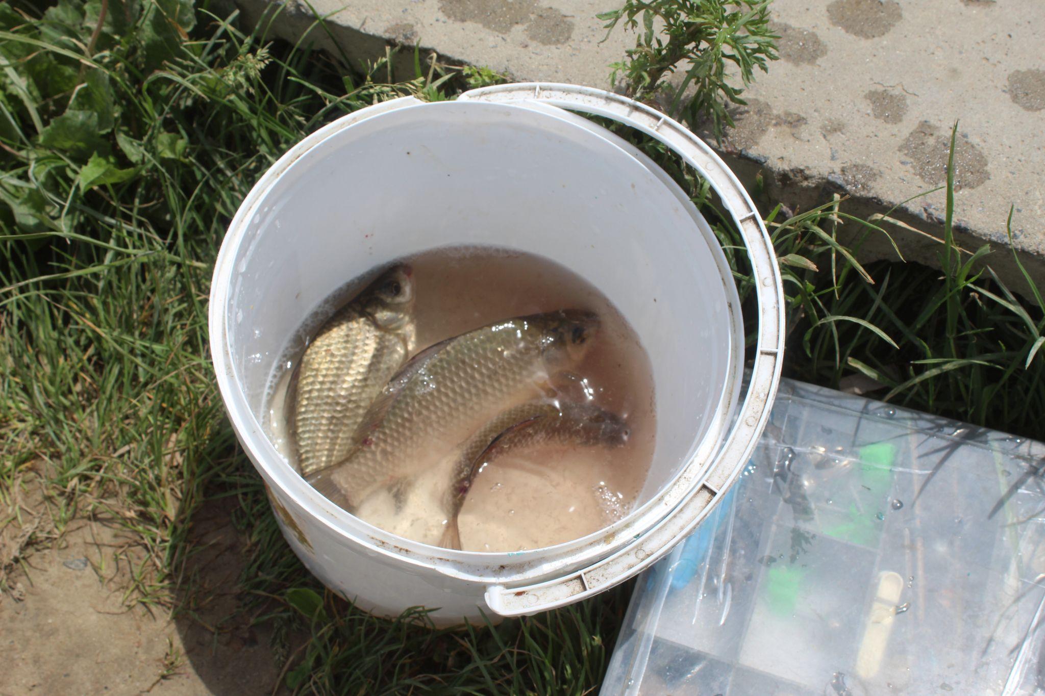 Новини Козятина - фото з Де в Козятині можна відпочити