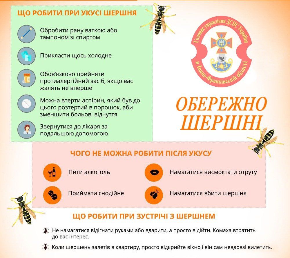 Новини Козятина - фото з Алергія після укусу бджіл, ос, шершнів — найсильніша. Як діяти?