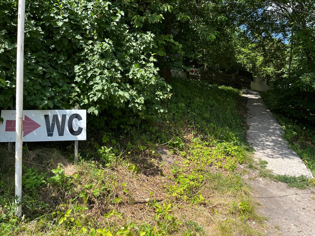 Новини Тернополя - фото з Вбиральні – з фекаліями, а душові – без кранів: ми перевірили, чи підготували пляжі до сезону