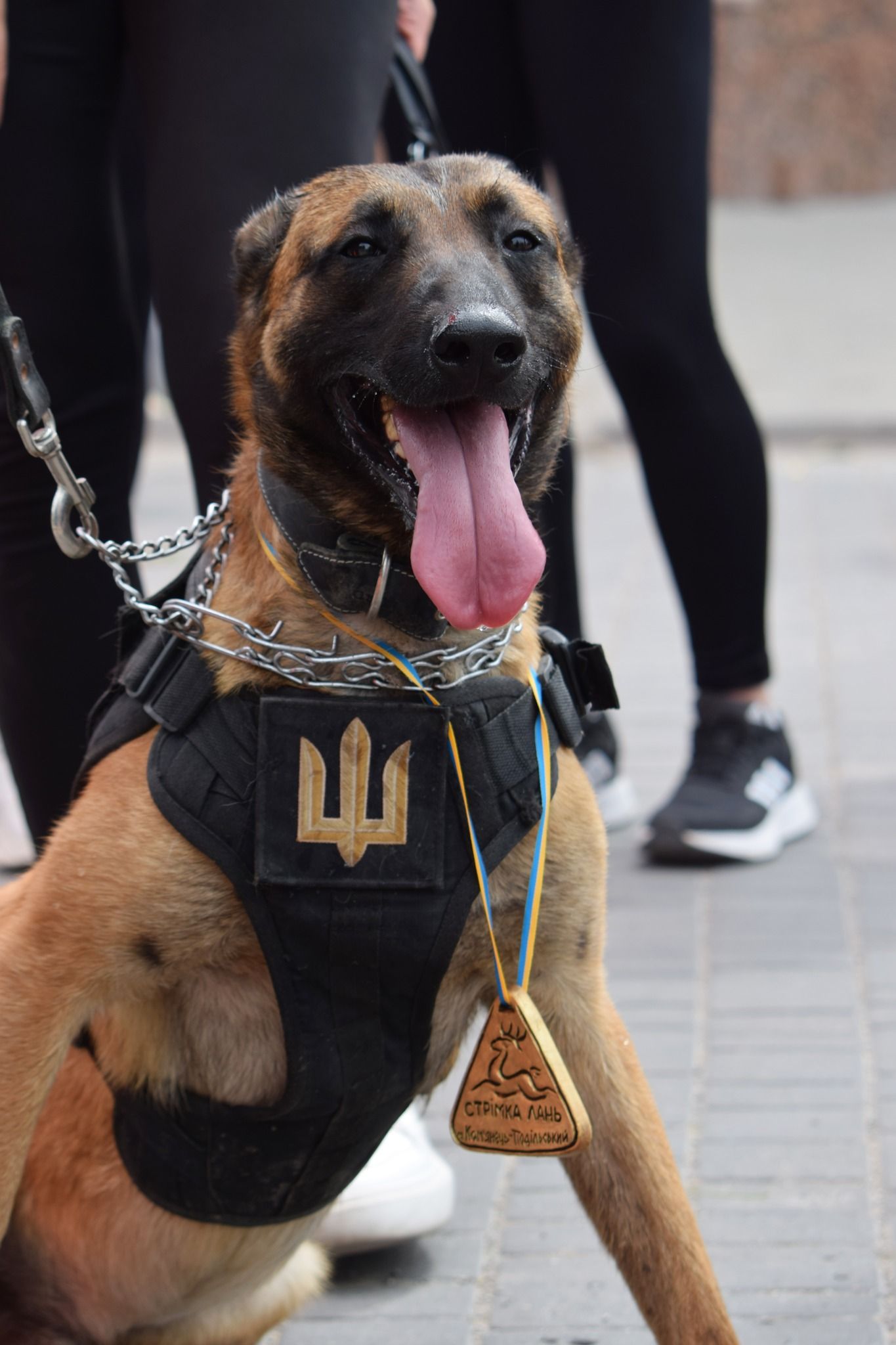 Новини Хмельницького - фото з Кам’янчани зібрали під час забігу майже пів мільйона на підтримку пораненого воїна