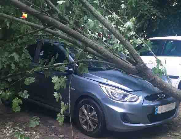Новини Козятина - фото з Рятувальники повідомили про наслідки, які наробила негода на Вінниччині