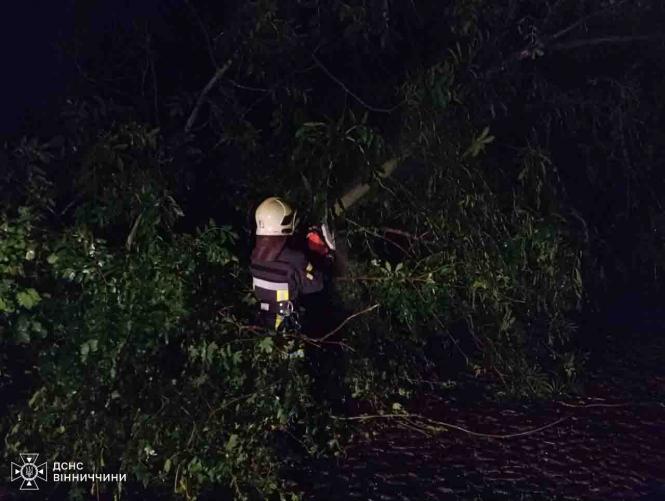 Новини Вінниці - фото з У Вінниці через негоду дерево впало на авто: ніхто не постраждав