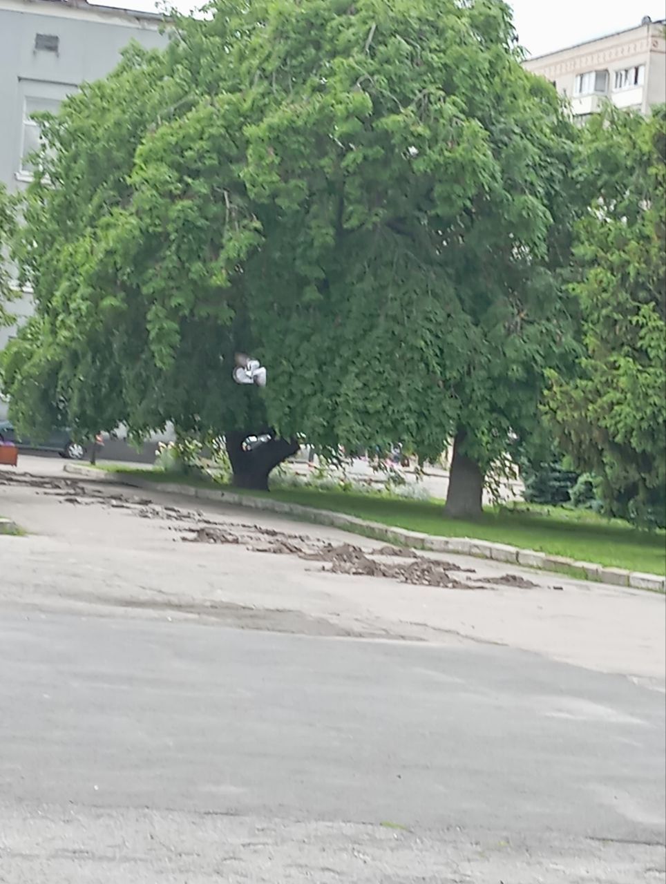 Новини Козятина - фото з Фото дня: у Козятині на центральній площі розпочали облаштовувати Алею пам'яті
