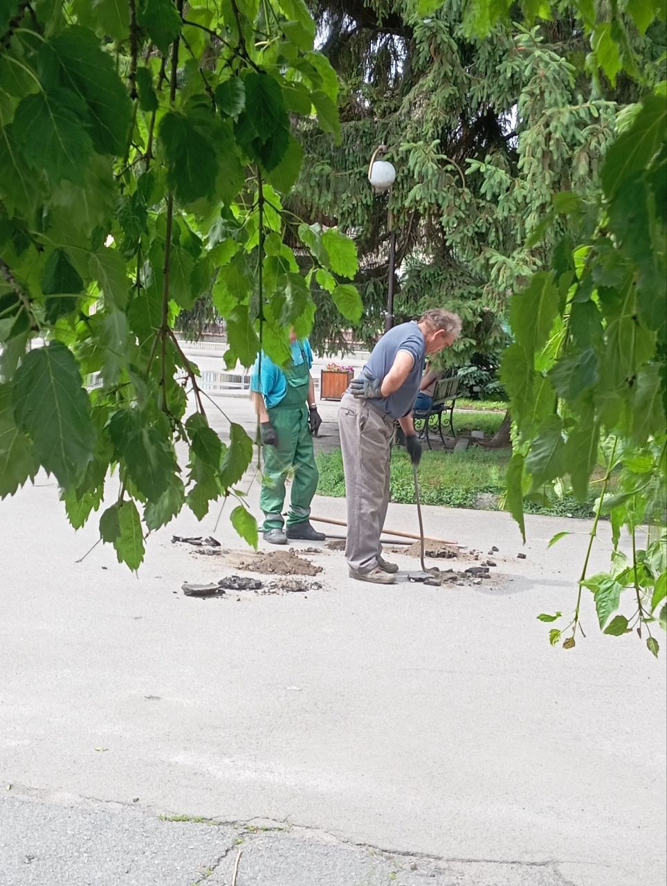 Новини Козятина - фото з Фото дня: у Козятині на центральній площі розпочали облаштовувати Алею пам'яті
