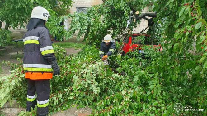 Новини Вінниці - фото з Негода вирувала у трьох районах: у Крижополі вітер звалив дерево на автівку