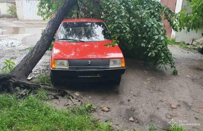 Новини Вінниці - фото з Негода вирувала у трьох районах: у Крижополі вітер звалив дерево на автівку