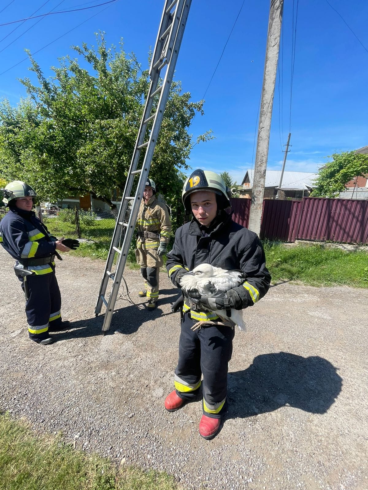 На зображенні може бути: 3 людини