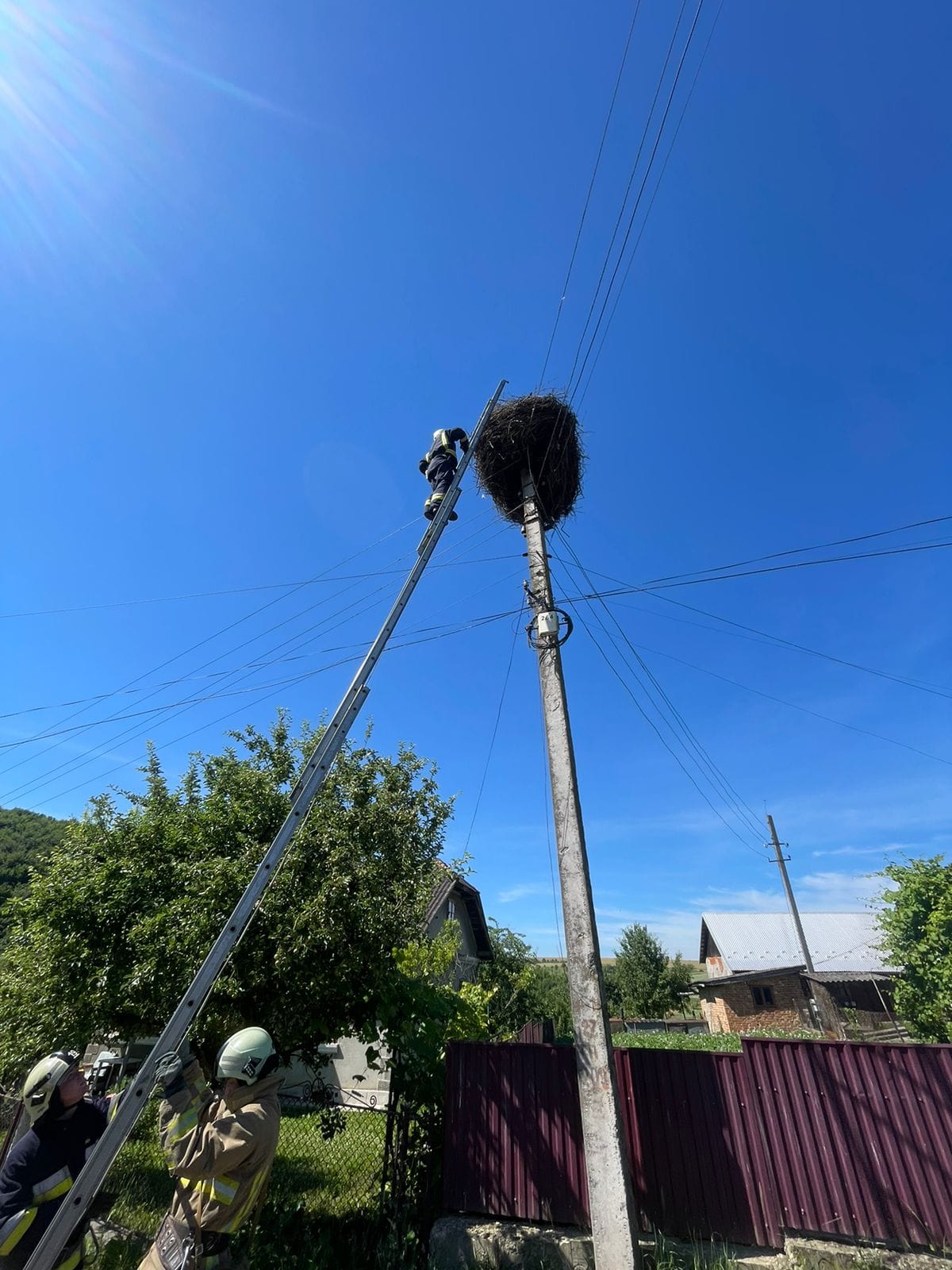 На зображенні може бути: 2 людини