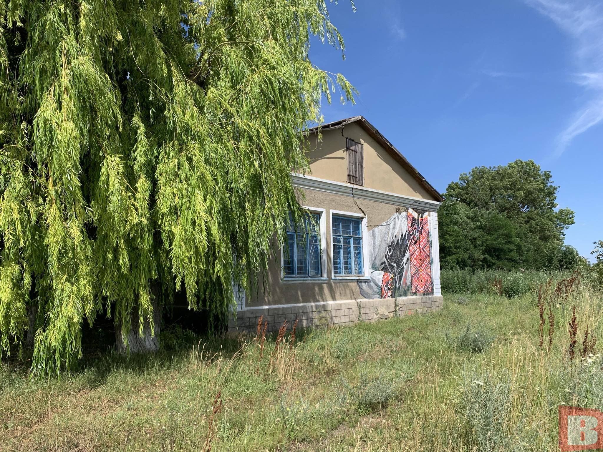 Новини Хмельницького - фото з 20 муралів на Кам'янеччині: хто створив і для чого