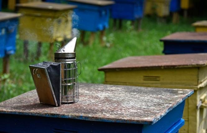Новини Вінниці - фото з Відкрийте для себе Вінниччину та Україну: екскурсії та майстер-класи на липень