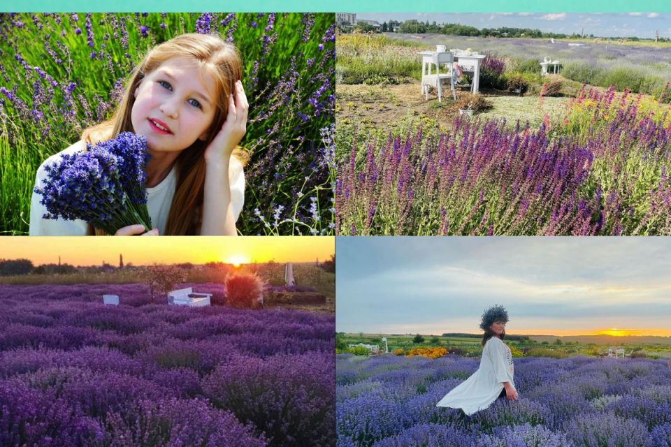 Новини Тернополя - фото з Розповідаємо про три лавандові поля на Тернопільщині, де можна зробити неймовірні світлини Тут роблять фотосесії та відпочивають душею: у Зарубинцях на Тернопільщині квітне лавандове поле