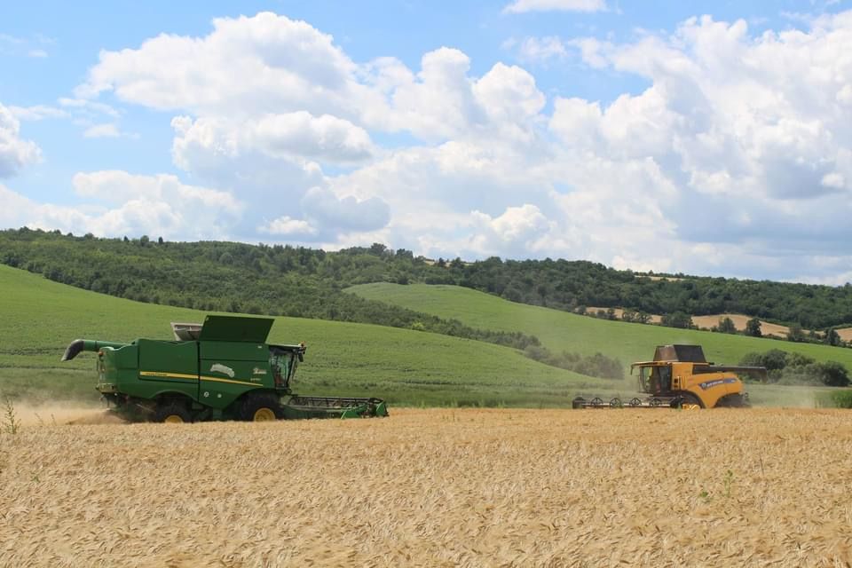 Новини Вінниці - фото з На два тижні раніше почалися жнива. Аграрії Вінниччини лідирують за показником урожайності