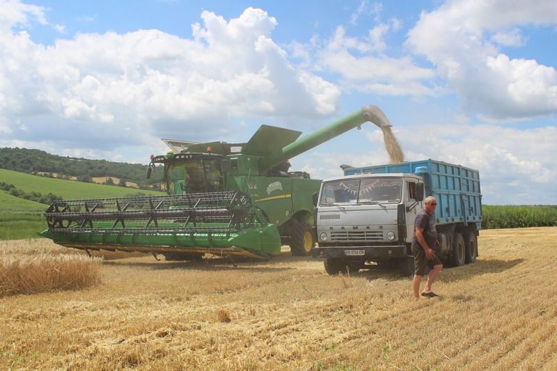 Новини Вінниці - фото з На два тижні раніше почалися жнива. Аграрії Вінниччини лідирують за показником урожайності